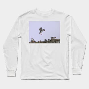 Puffin Coming In To Land - Farne Islands Long Sleeve T-Shirt